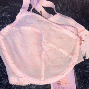 SavageX~Pink~Bra